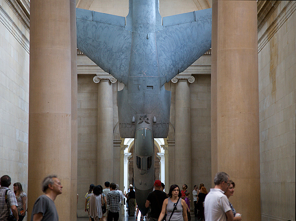 Harrier3