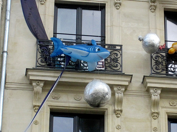 Bluedolphin