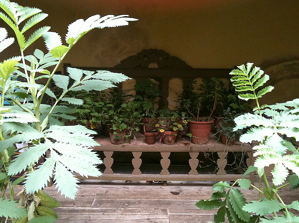 Verdigarden