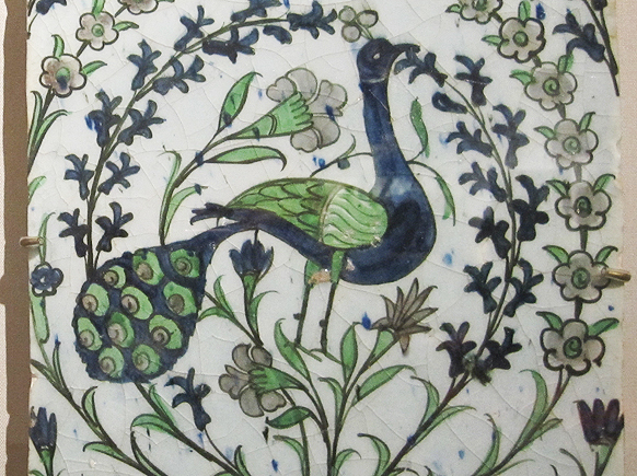 Peacocks-19-20-cu