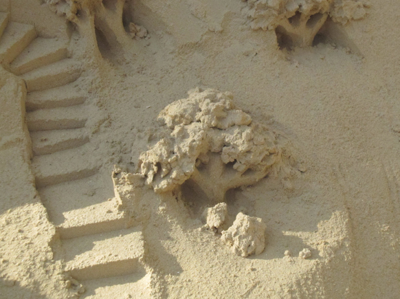 Plage13