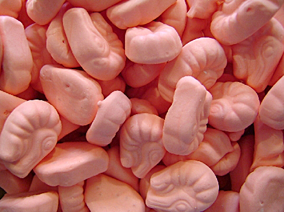 Shrimps