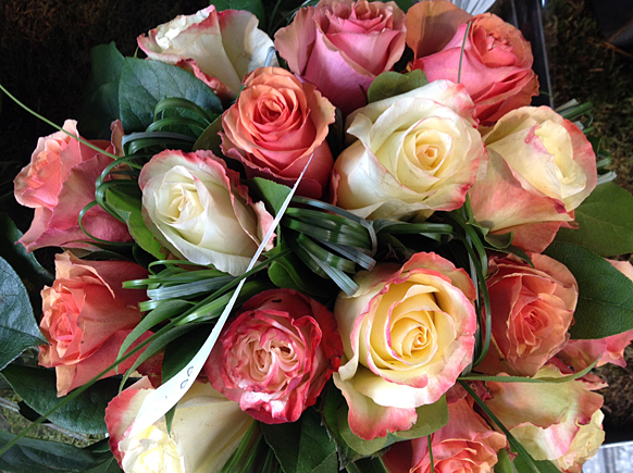 Pp-rose